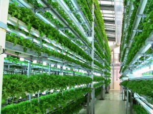 largescalehydroponics